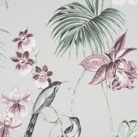Graham and Brown Julien MacDonald Utopia Grey 112082 Wallpaper